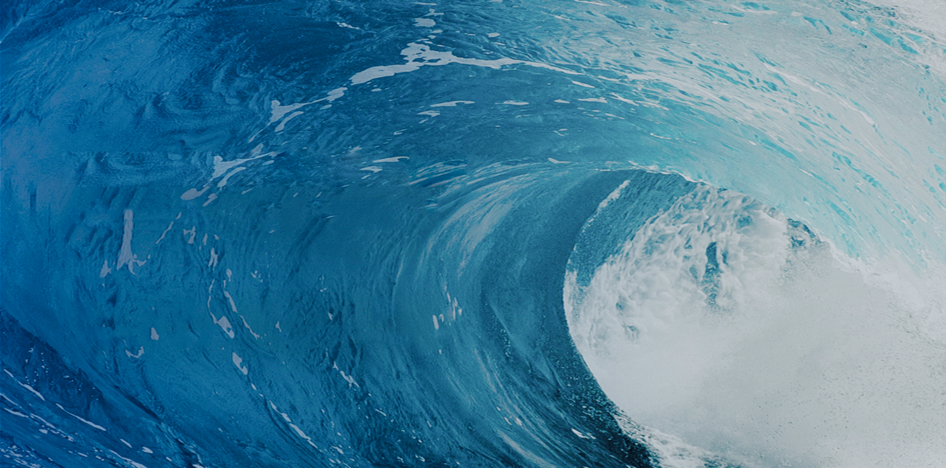 山东兰蝶环保科技-首页